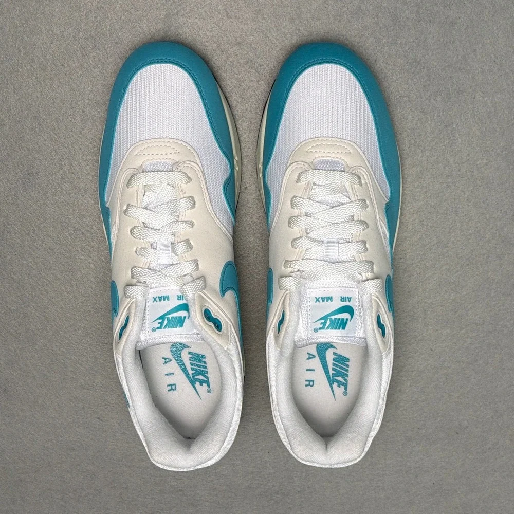 Nike Air Max 1 Dusty Cactus White Womens 11 Mens 9.5 DZ2628-107
